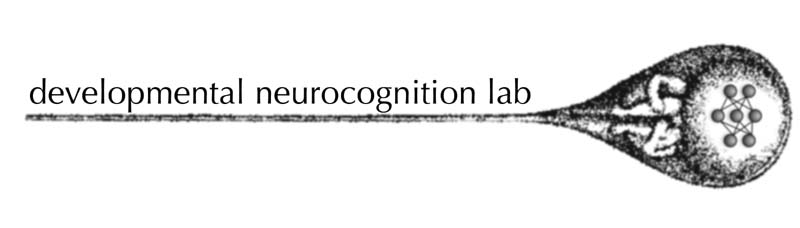 developmental neurocognition lab